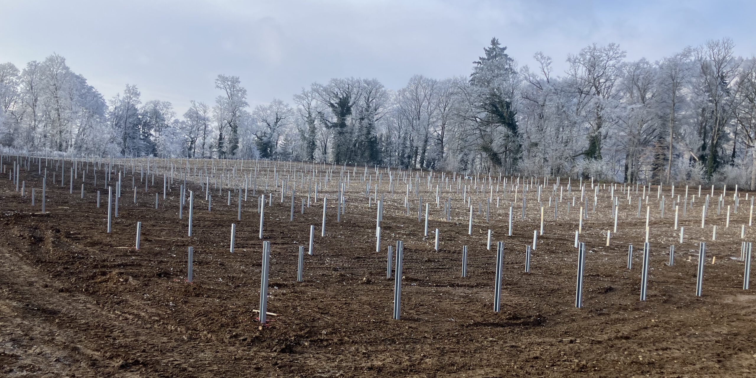 Fertigstellung der Rammung in den westlichen 2 Teilfeldern