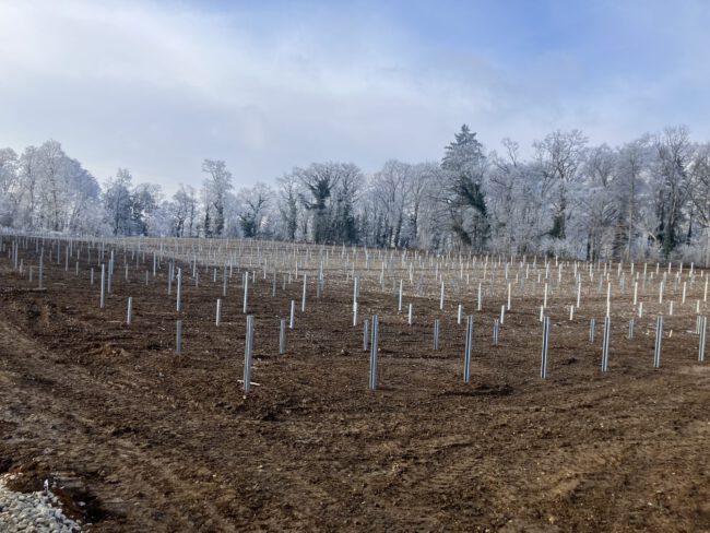 Fertigstellung der Rammung in den westlichen 2 Teilfeldern Fertigstellung der Rammung in den westlichen 2 Teilfeldern