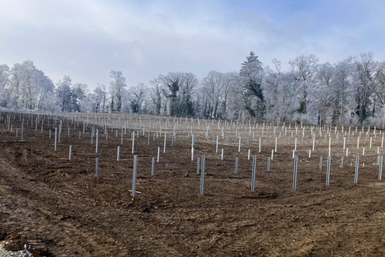 Fertigstellung der Rammung in den westlichen 2 Teilfeldern