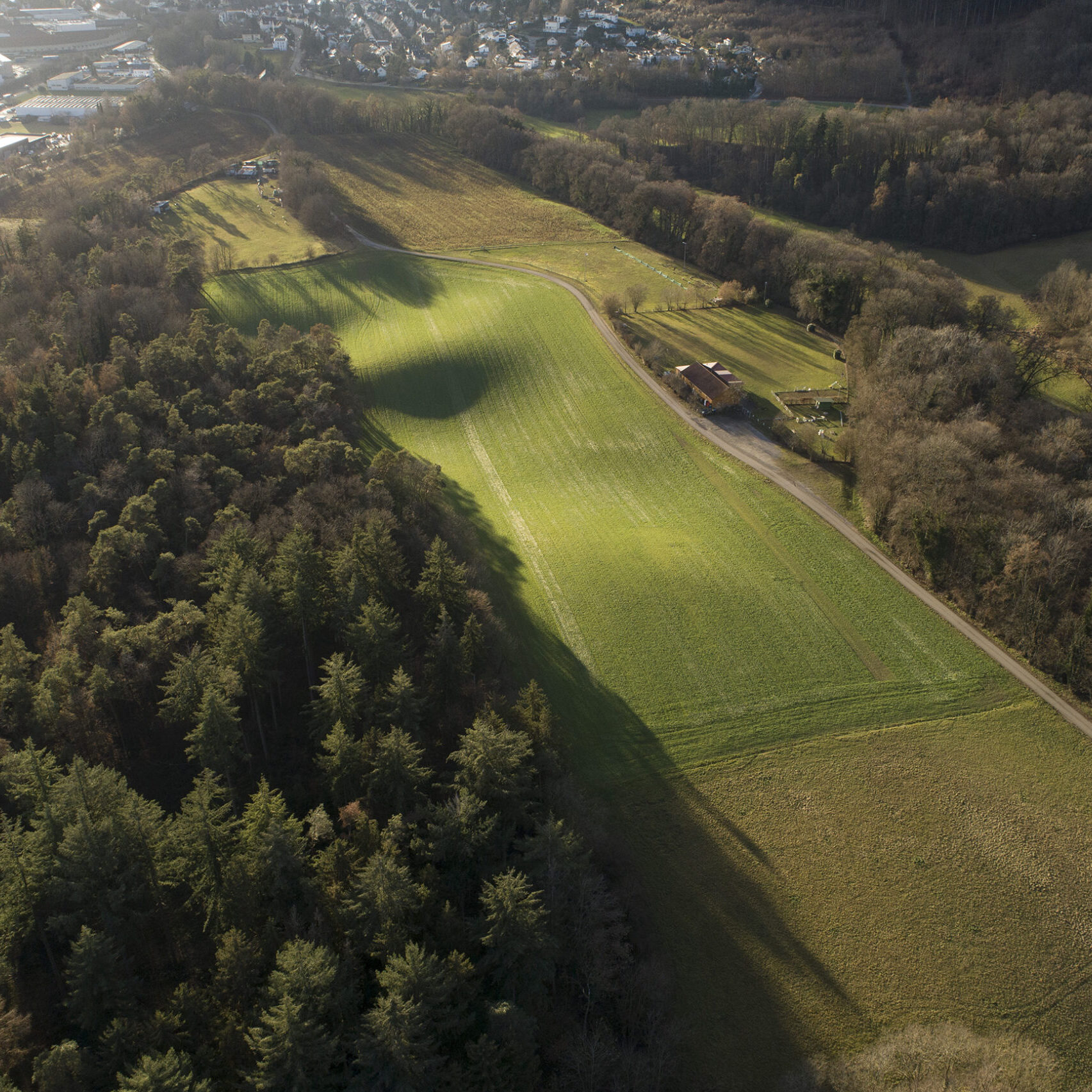 Katzental Gottmadingen