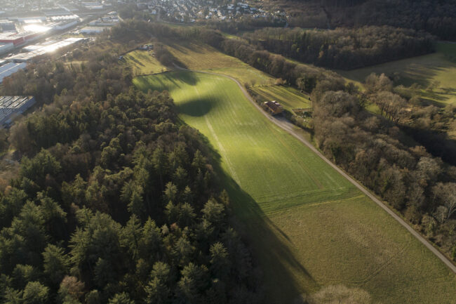 Katzental Gottmadingen