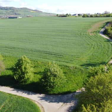 Luftaufnahme Solarparkstandort Vorrätzen vor Baubeginn