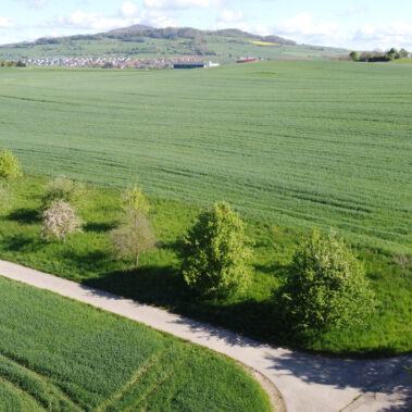 Luftaufnahme Solarparkstandort Vorrätzen vor Baubeginn