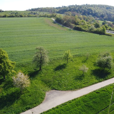 Luftaufnahme Solarparkstandort Vorrätzen vor Baubeginn