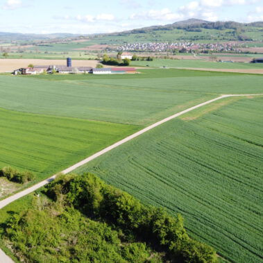 Luftaufnahme Solarparkstandort Vorrätzen vor Baubeginn