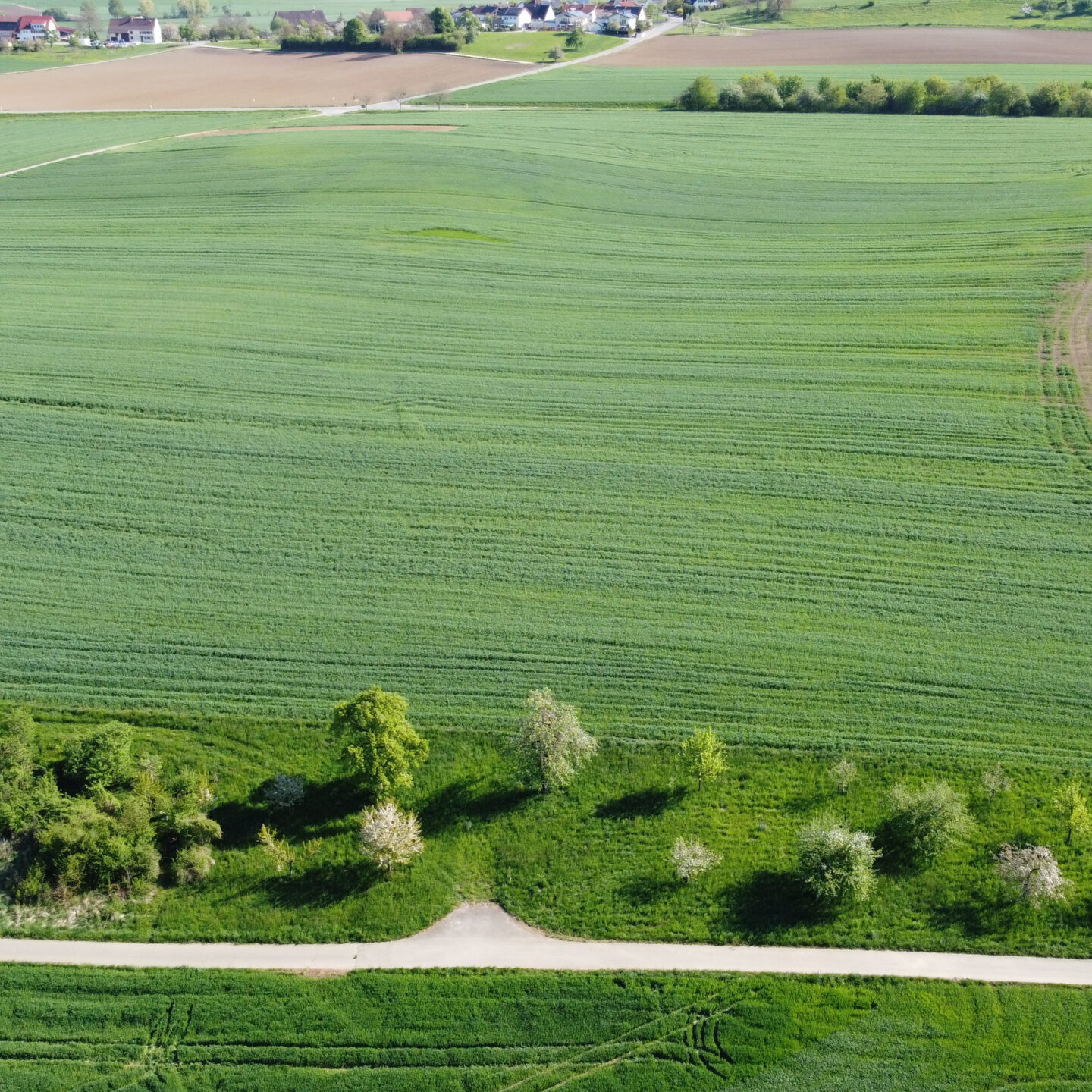 Luftaufnahme Solarparkstandort Vorrätzen vor Baubeginn