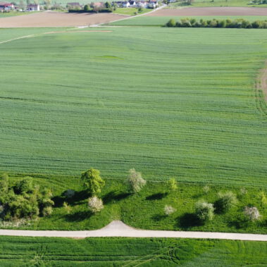 Luftaufnahme Solarparkstandort Vorrätzen vor Baubeginn