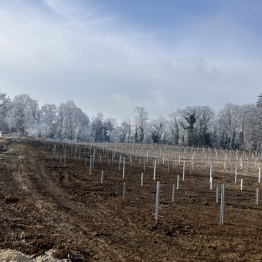 Fertigstellung der Rammung in den westlichen 2 Teilfeldern