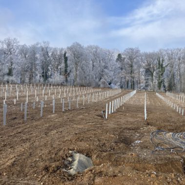 Fertigstellung der Rammung in den westlichen 2 Teilfeldern