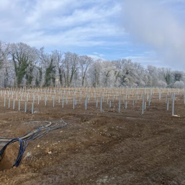 Fertigstellung der Rammung in den westlichen 2 Teilfeldern