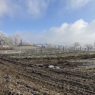 Fertigstellung der Rammung in den westlichen 2 Teilfeldern
