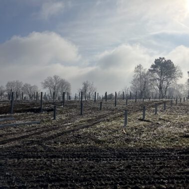 Fertigstellung der Rammung in den westlichen 2 Teilfeldern