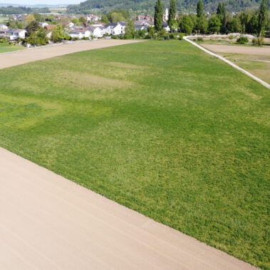 Luftbild möglicher Solarparkstandort Riedbuck