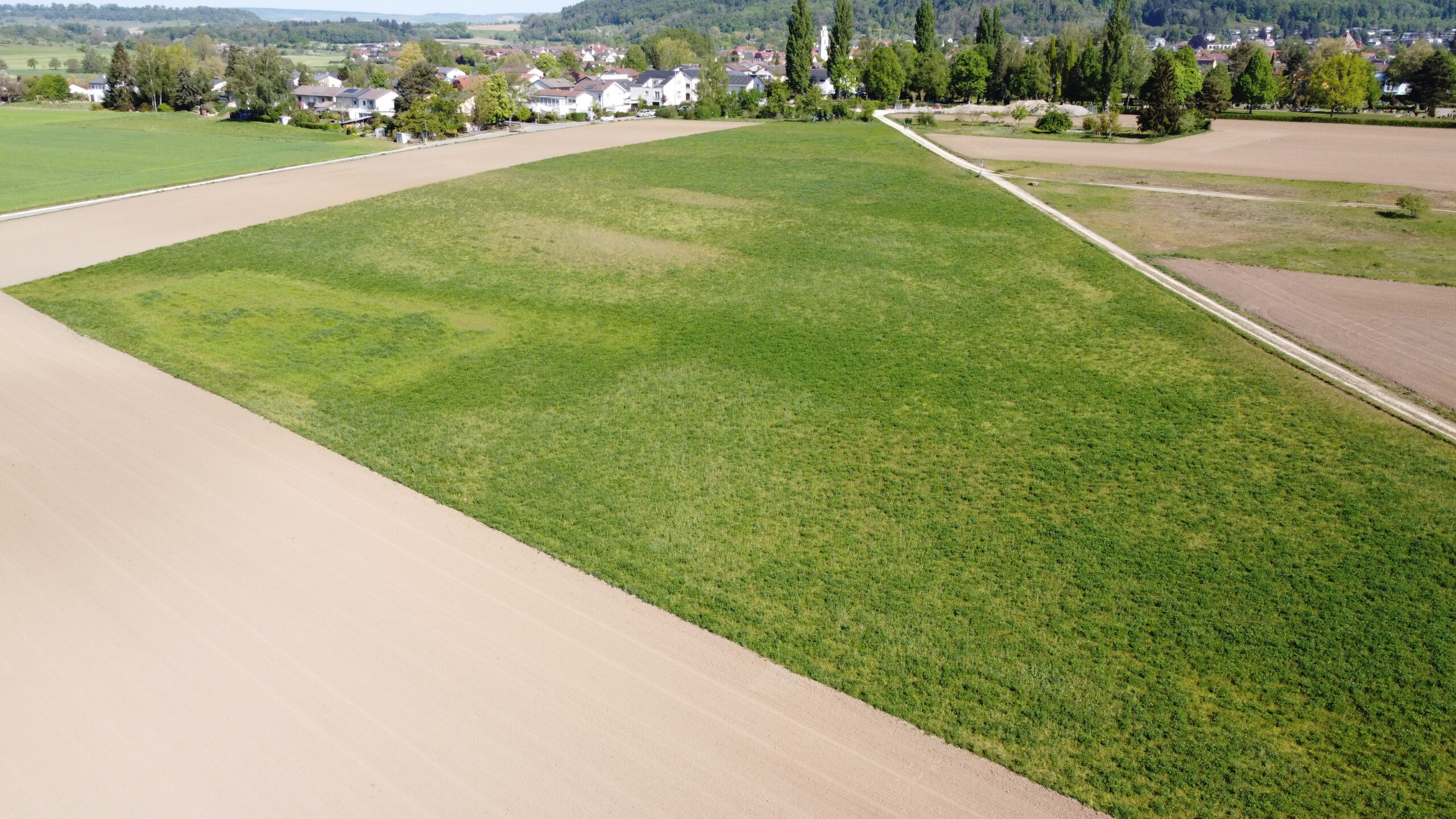 Luftbild möglicher Solarparkstandort Riedbuck