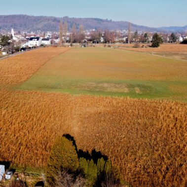 Lufbild Standort Riedbuck