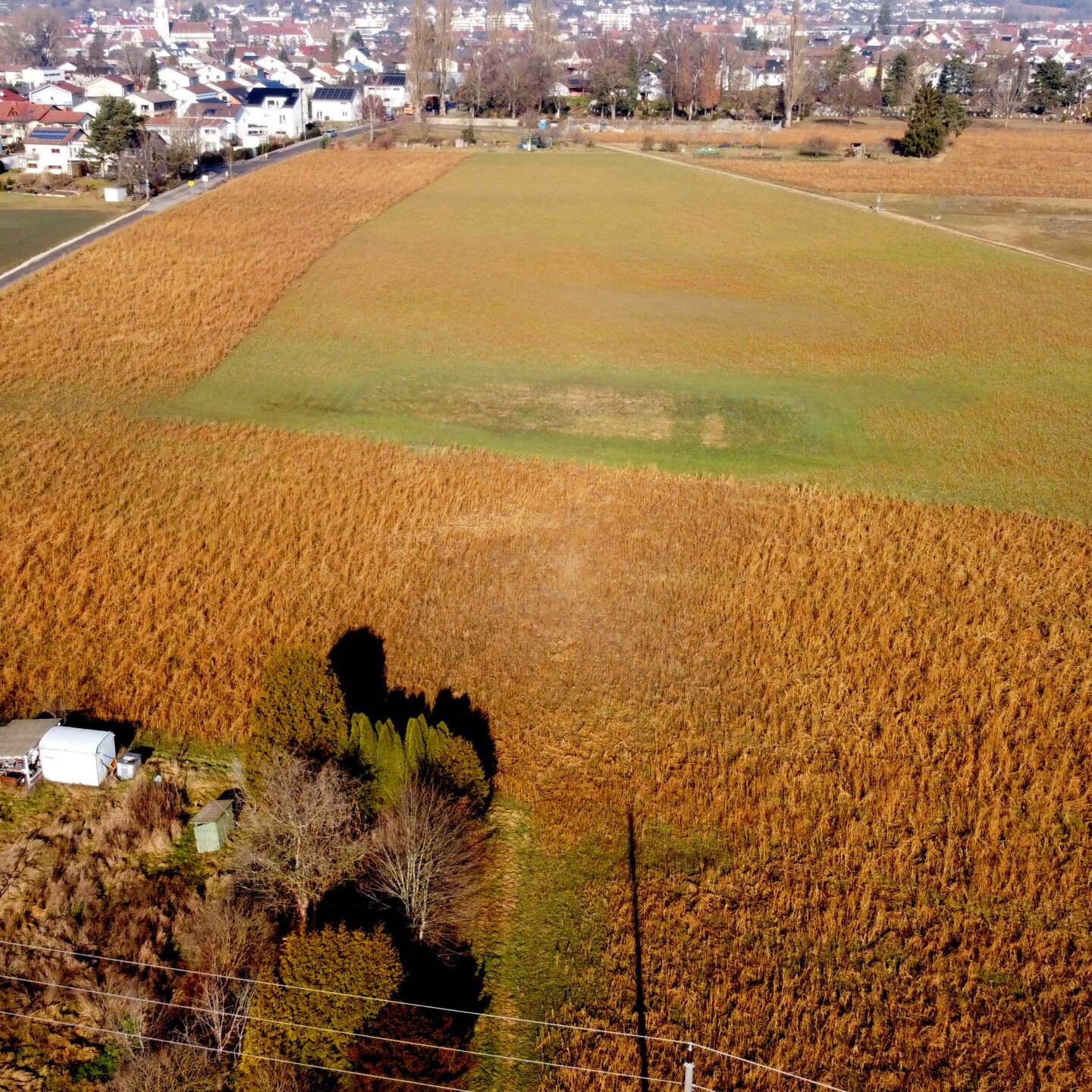 Lufbild Standort Riedbuck