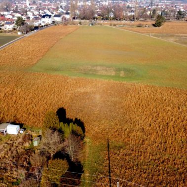 Lufbild Standort Riedbuck