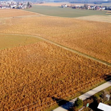 Lufbild Standort Riedbuck