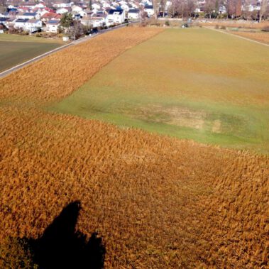 Lufbild Standort Riedbuck