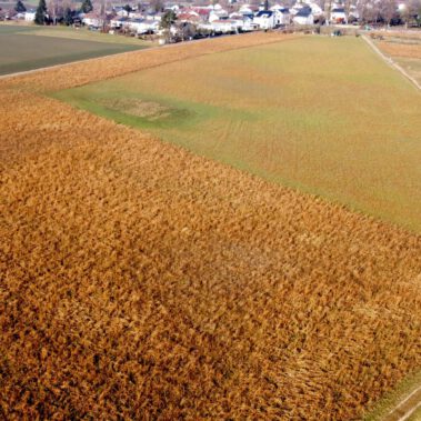 Lufbild Standort Riedbuck