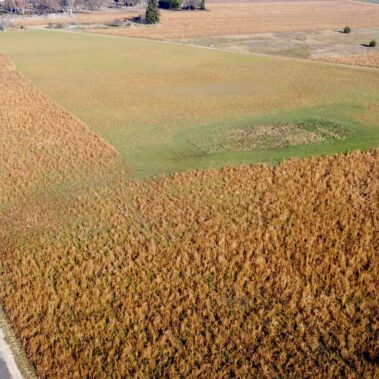 Lufbild Standort Riedbuck