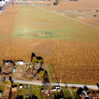 Lufbild Standort Riedbuck