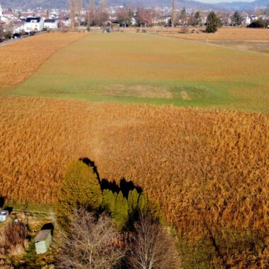 Lufbild Standort Riedbuck