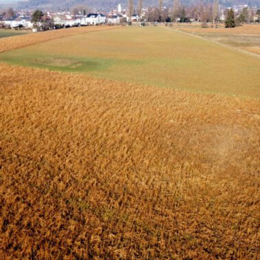 Lufbild Standort Riedbuck