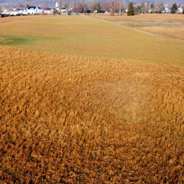 Lufbild Standort Riedbuck