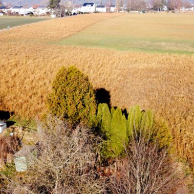 Lufbild Standort Riedbuck