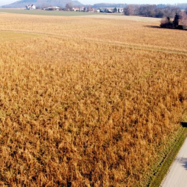 Lufbild Standort Riedbuck