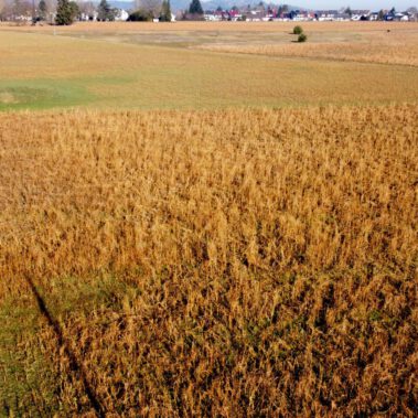 Lufbild Standort Riedbuck