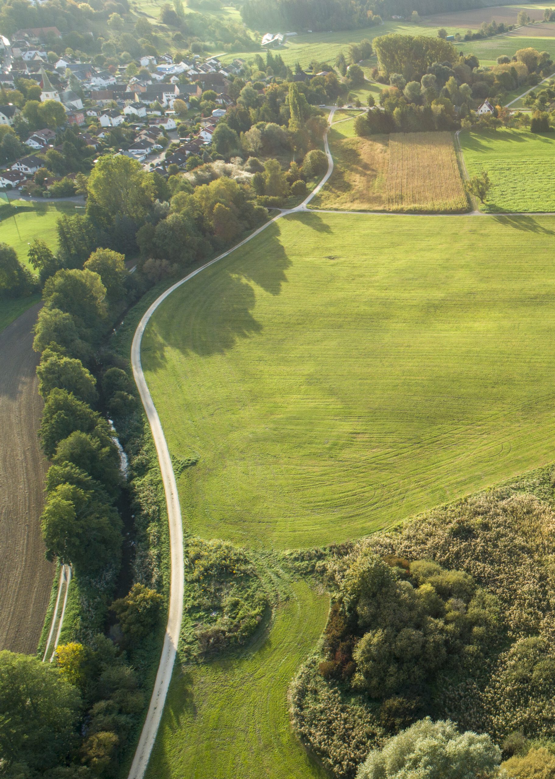 Luftbild Ruthwiese Randegg