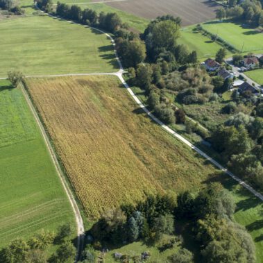 Luftbild Ruthwiese Randegg