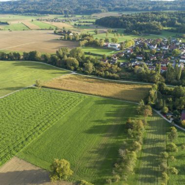 Luftbild Ruthwiese Randegg