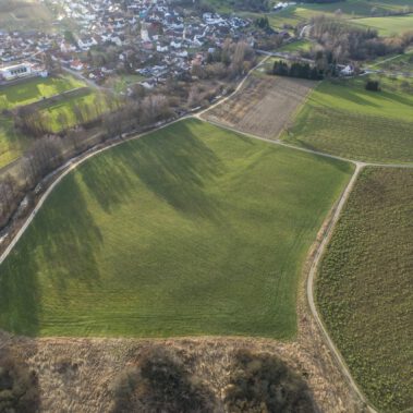 Luftbild Ruthwiese Randegg